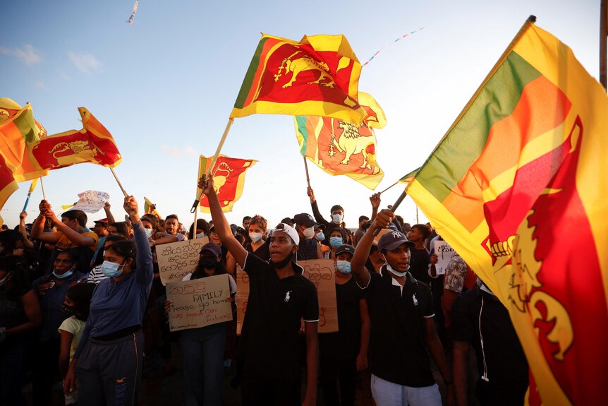 A group of protesters wave huge Sri Lankan flags overhead 