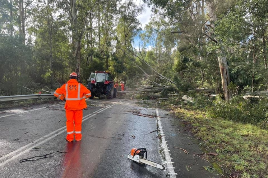 A Victorian SES officer stands next to a chainsaw in front of a tractor and fallen tree across a road