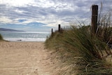 The beach at Apollo Bay.