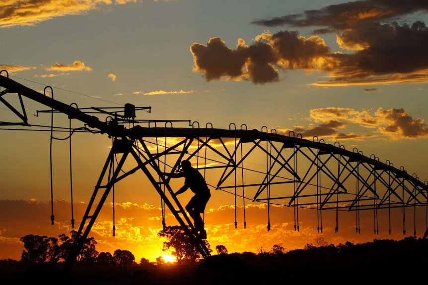 A silhouetted man climbs the tower of a lateral move spray irrigator as the sun sets on a property.
