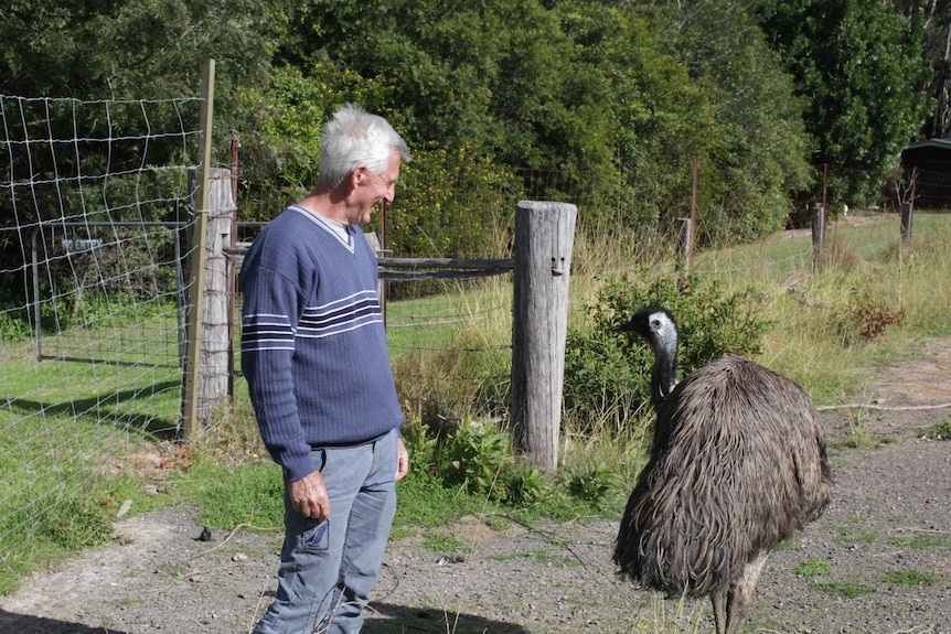 Tony and his emus