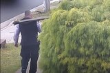 An image of a man holding a long black object walking past a bush on a suburban street