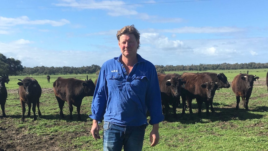 Geoff Pearson stands in a paddock with cattle behind him