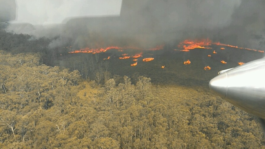 An aerial photograph of a bushfire burning through green bushland.
