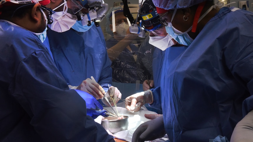 Surgeons performing an operation. 