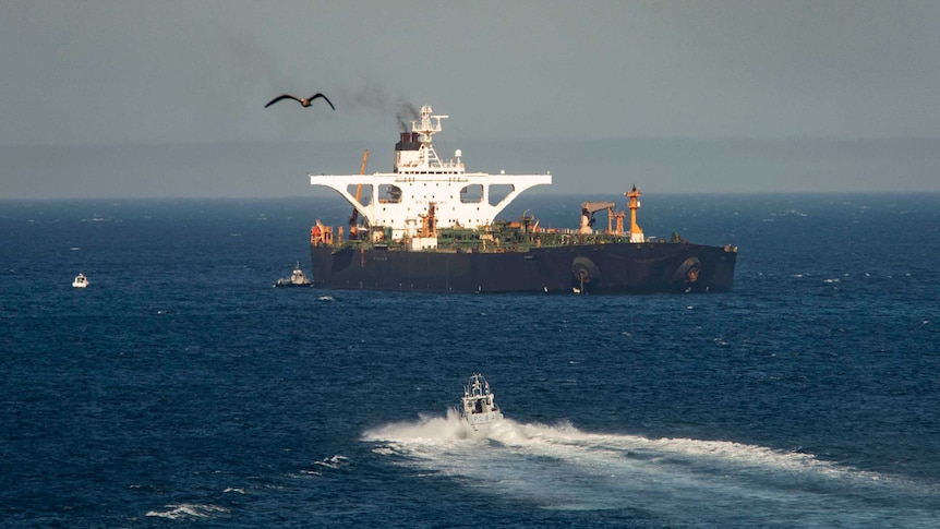 A supertanker hosting an Iranian flag is seen in the ocean as a bird flies past.