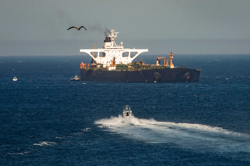 A supertanker hosting an Iranian flag is seen in the ocean as a bird flies past.