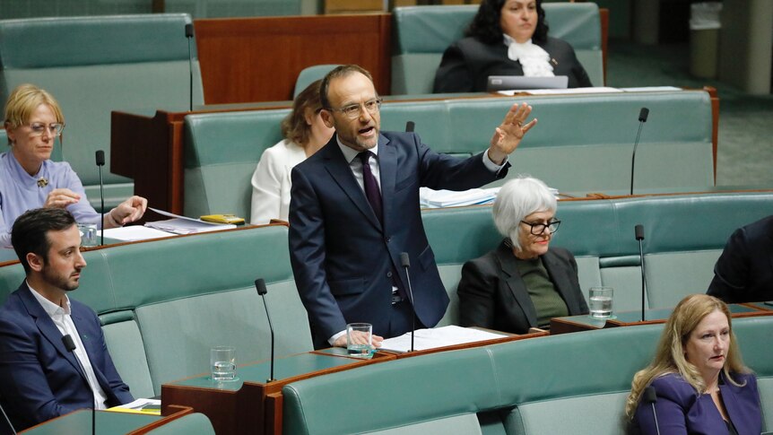 Adam Bandt speaking in the Reps chamber with his hand raised.