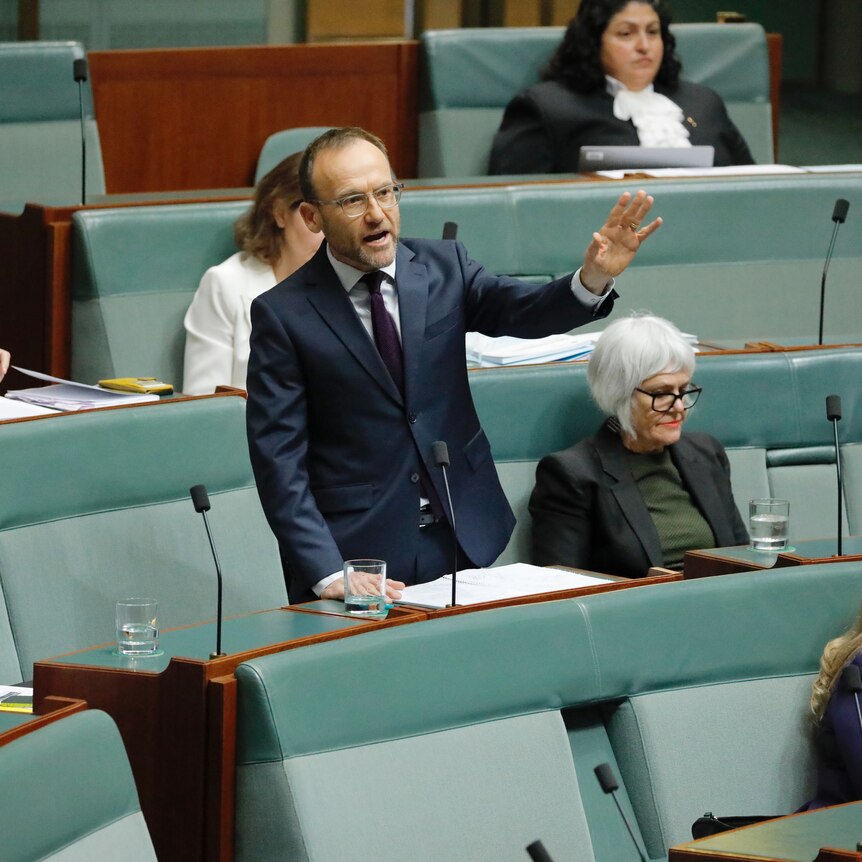 Adam Bandt speaking in the Reps chamber with his hand raised.