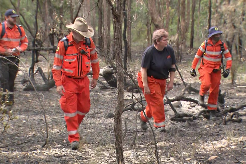 four people wearing orange jumpsuits scouring through the bush