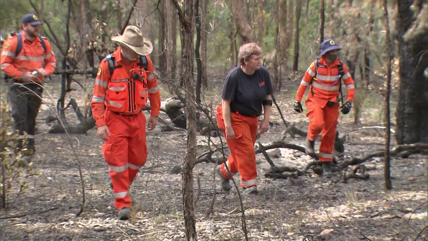 four people wearing orange jumpsuits scouring through the bush