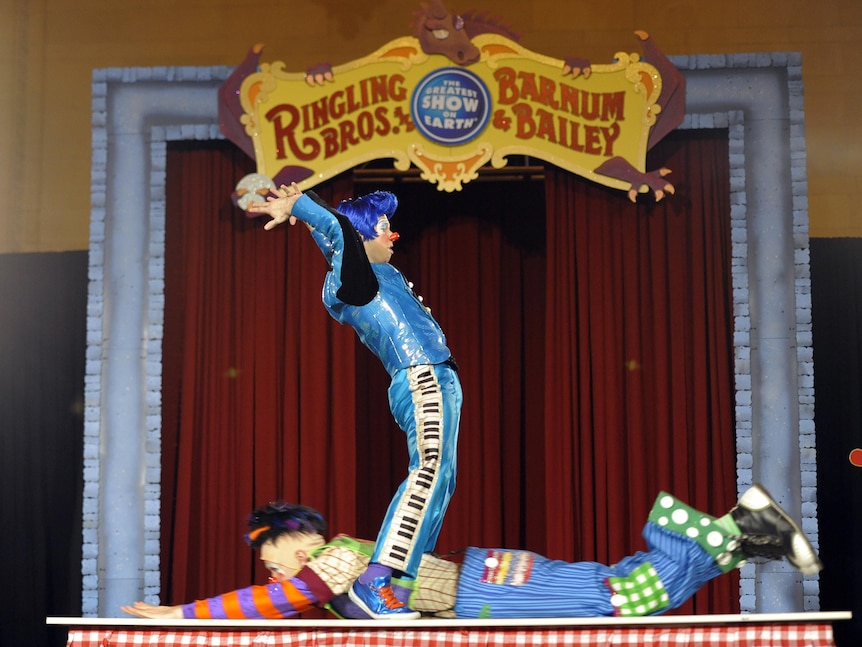 Clowns perform at the Ringling Bros and Barnum & Bailey clown auditions.