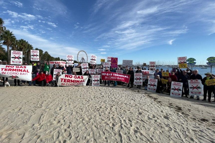 People stand in a line on the beach holding protest signs reading 'NO GAS TERMINAL' and similar messages.