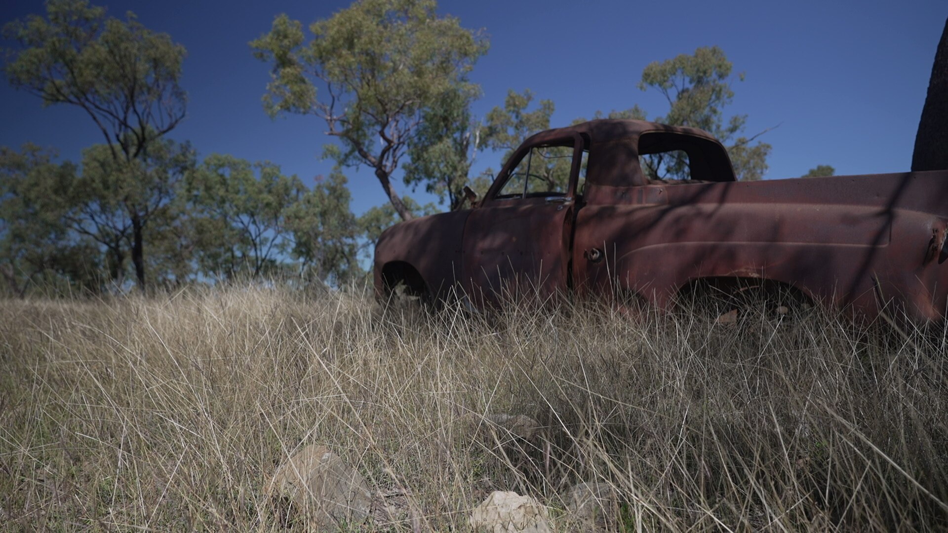 An old rusted ute sits in long grass in a paddock