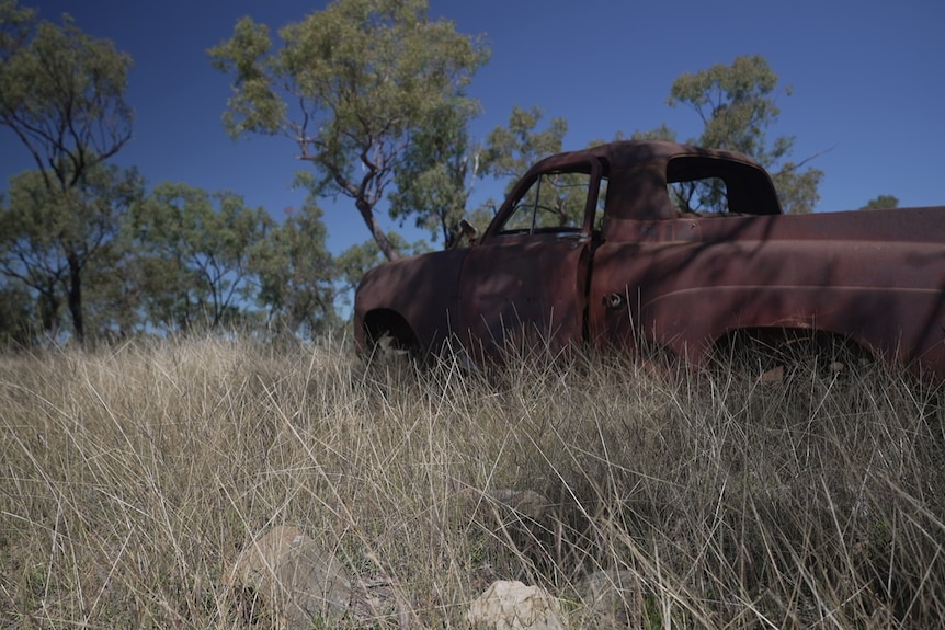 An old rusty ute sits in long grass in a paddock