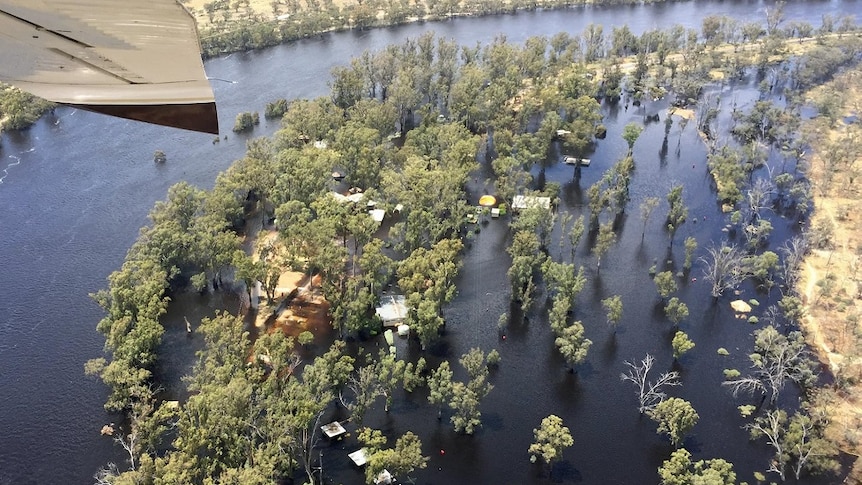 Murray River flood water covers beach and caravan park