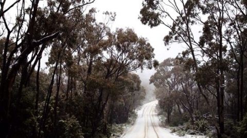 canobolas snow.jpg