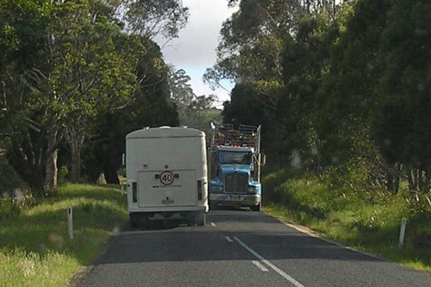 The local school bus shares the road with log trucks.