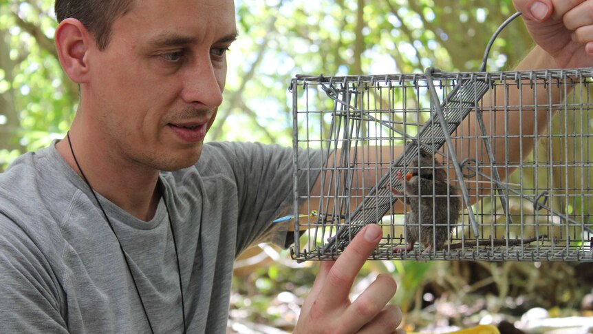 A scientist stands in the jungle, holding a cage with a rat inside.