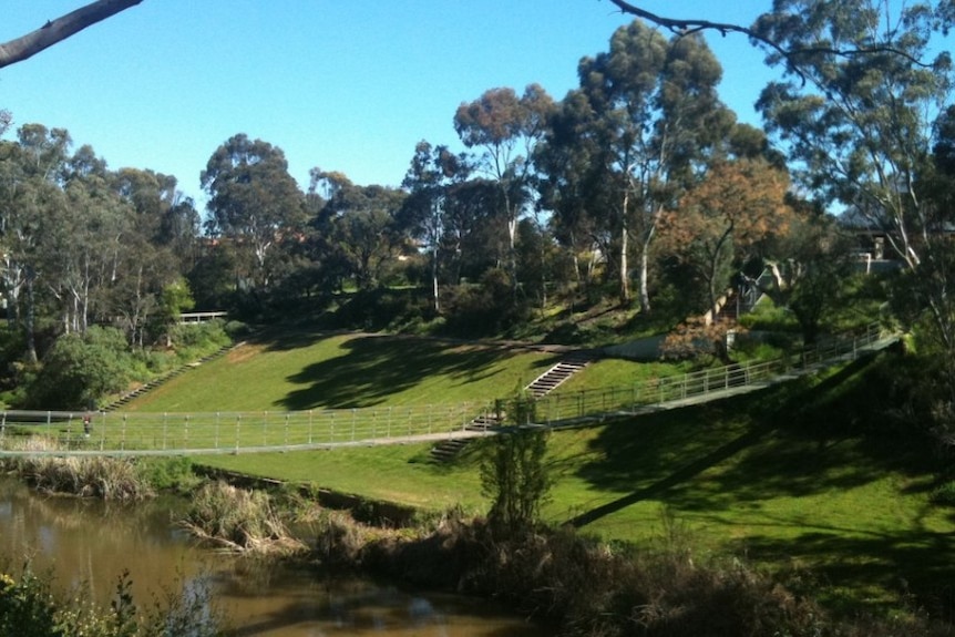A park with a steep hill