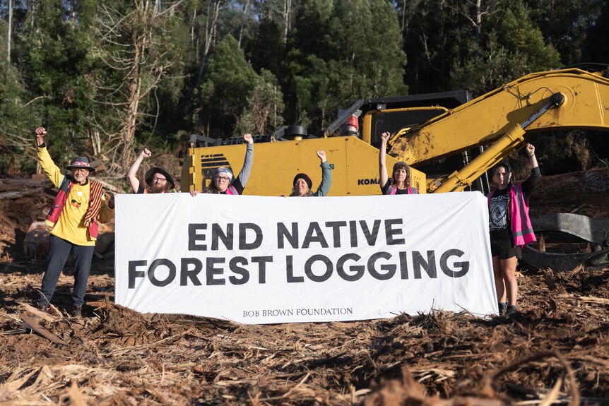 Environmental protesters stand with banner 'end native forest logging' with fists in air at logging site