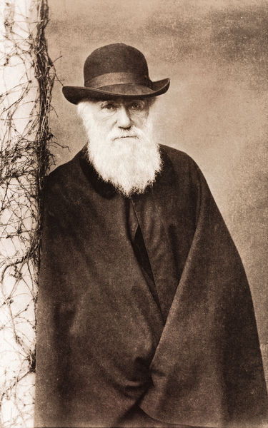 A black and white photograph of an old man in a black hat with a flowing white beard