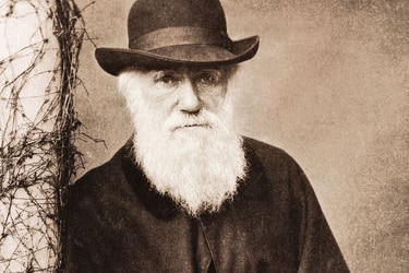 A black and white photograph of an old man in a black hat with a flowing white beard