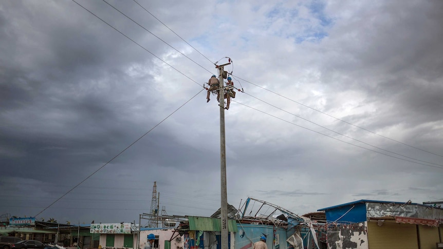 Workers fix damaged electric power facilities after Typhoon Rammasun hit Zhanjiang, Guangdong province in China.