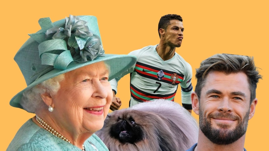 A collage of the Queen, a Pekingese dog, Cristiano Ronaldo and Chris Hemsworth. 