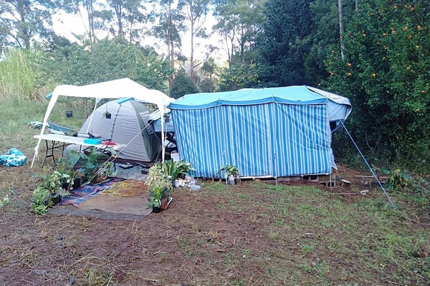 A blue and white striped annex and a grey tent on soggy ground in the bush.