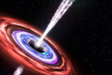 A black hole tears apart a star