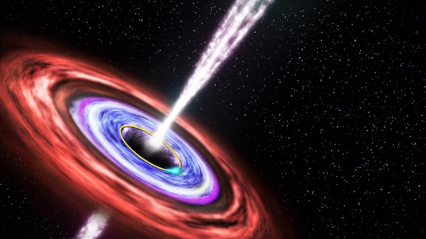 A black hole tears apart a star