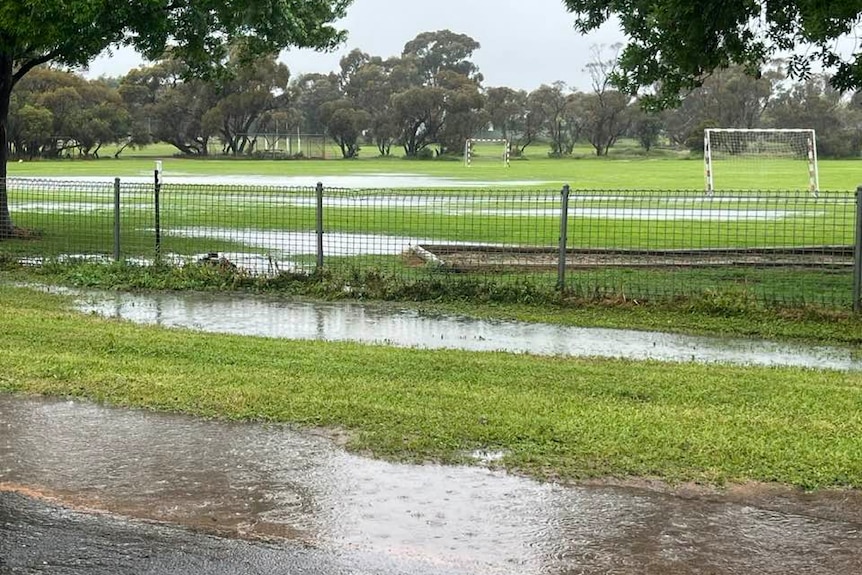 puddles of rain on a sport's field