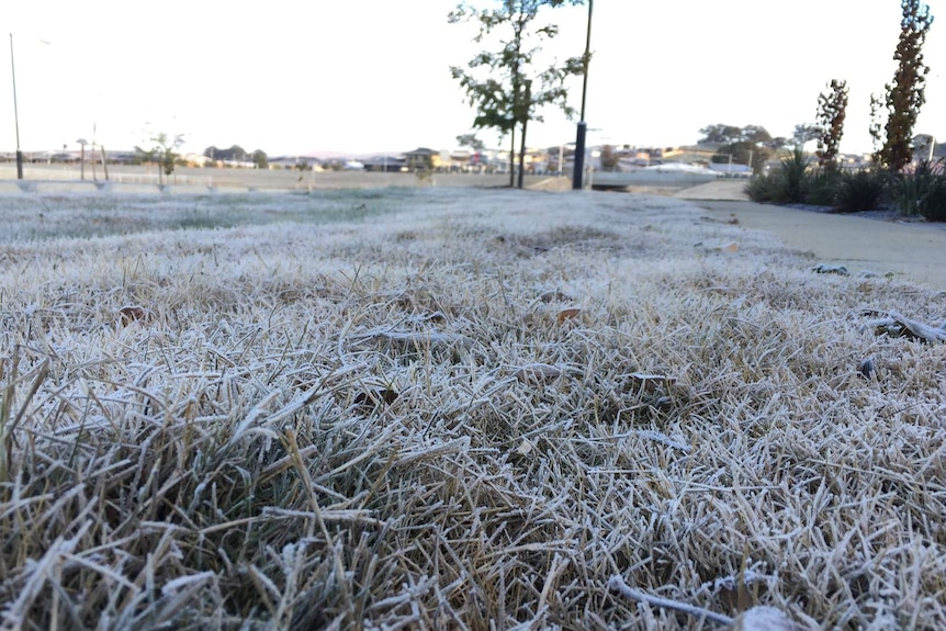 Cold winter Canberra