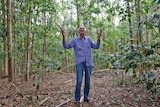 Dr Tony Parkes stands in the rainforest on his property with hands up to the trees.