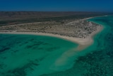 An aerial shot of a beach with turquoise waters 