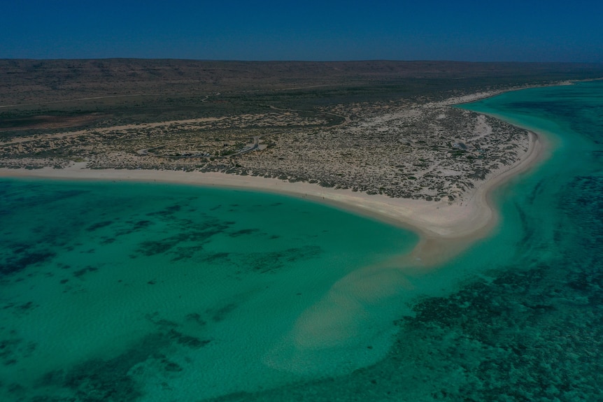 An aerial shot of a beach with turquoise waters. 