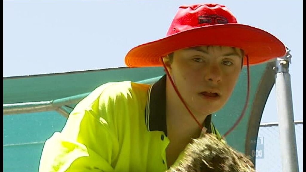 Special needs students to join mainstream - ABC News