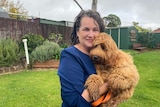 A woman with black curly hair holds up her labradoodle puppy