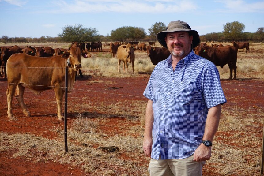 A man standing by a fence with cattle in the background.