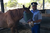 Man in uniform with horse