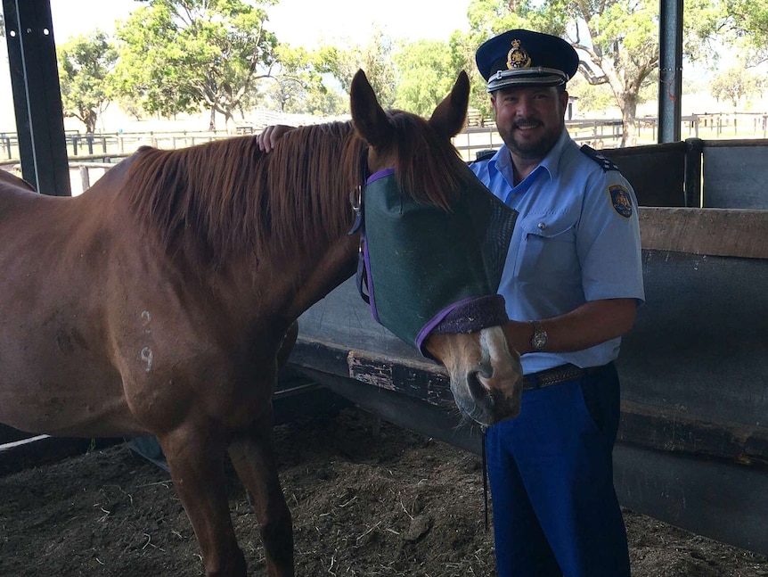 Man in uniform with horse