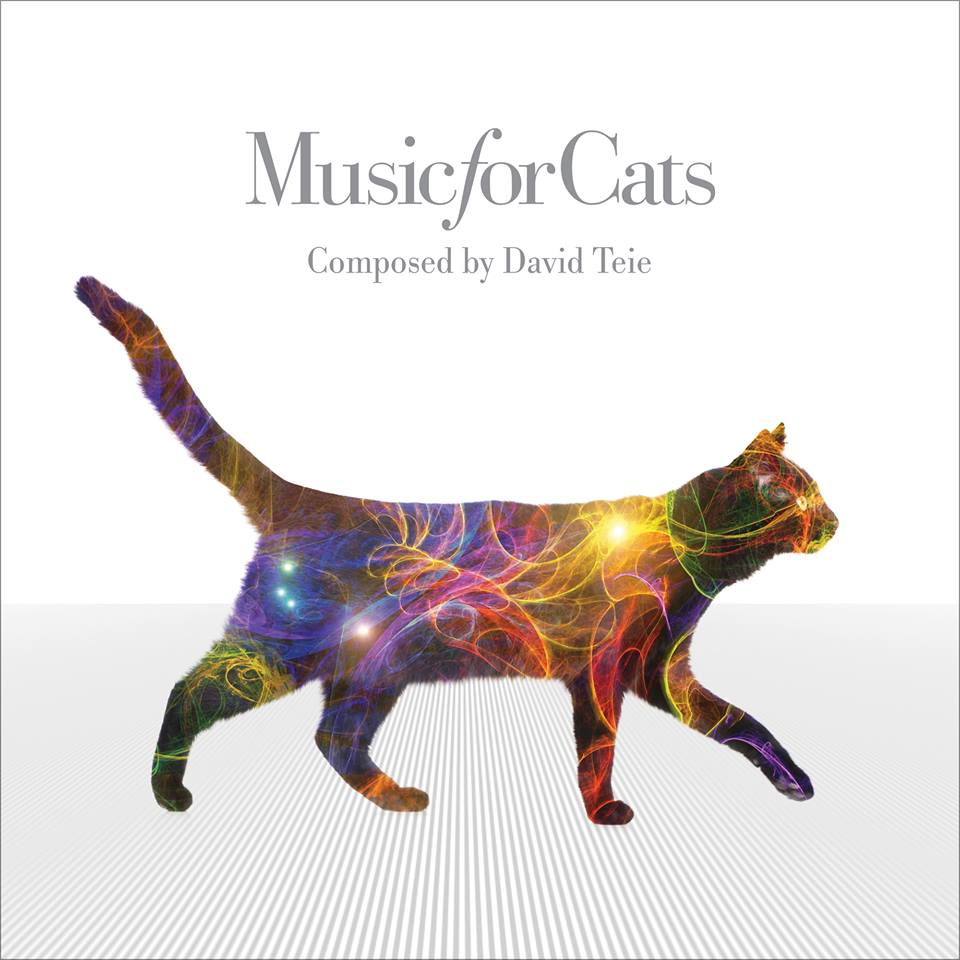 Music For Cats: Meow-sician claws to the top of the charts with album ...