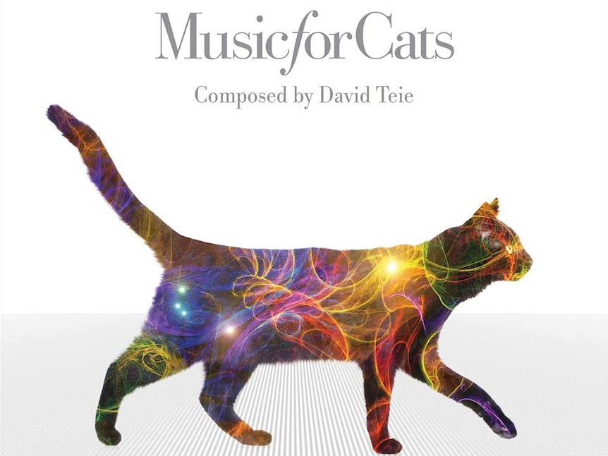 Album cover of Music For Cats