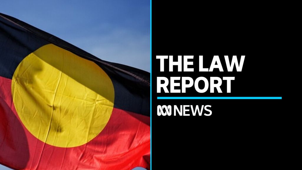 Lawyers discuss Indigenous voice to parliament plan - ABC News