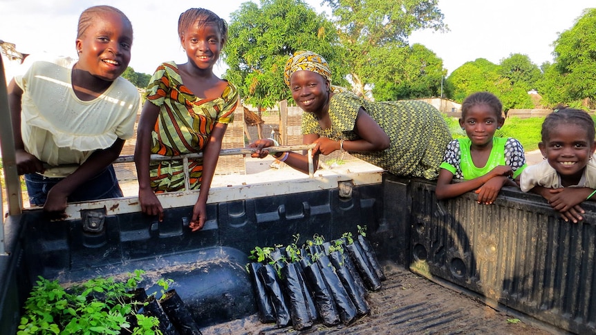 Children look at Moringa oleifera plants in a truck before they are given to women's groups in in Kolda, Senegal.