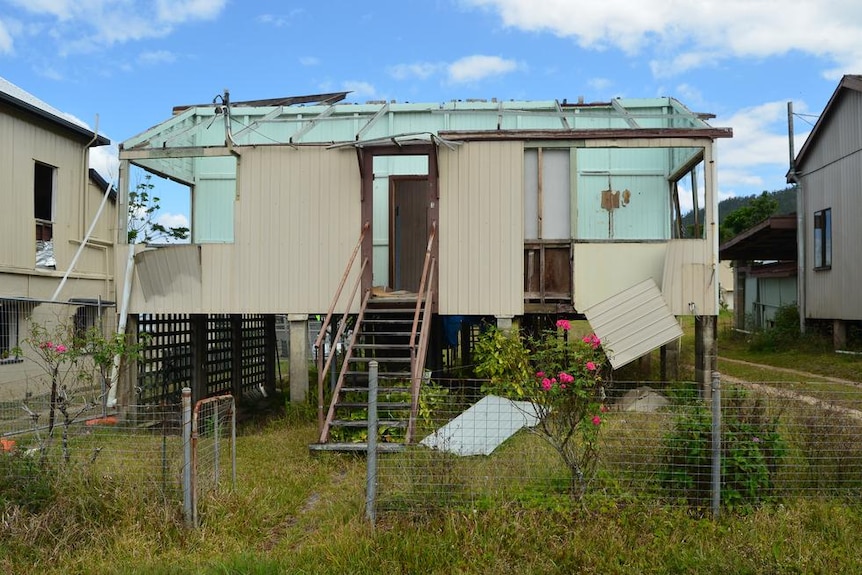 Rose blossoms outside cyclone-ravaged house