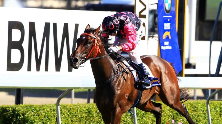 In full bloom...Military Rose's trainer Gillian Heinrich rated the victory as the best of her career.