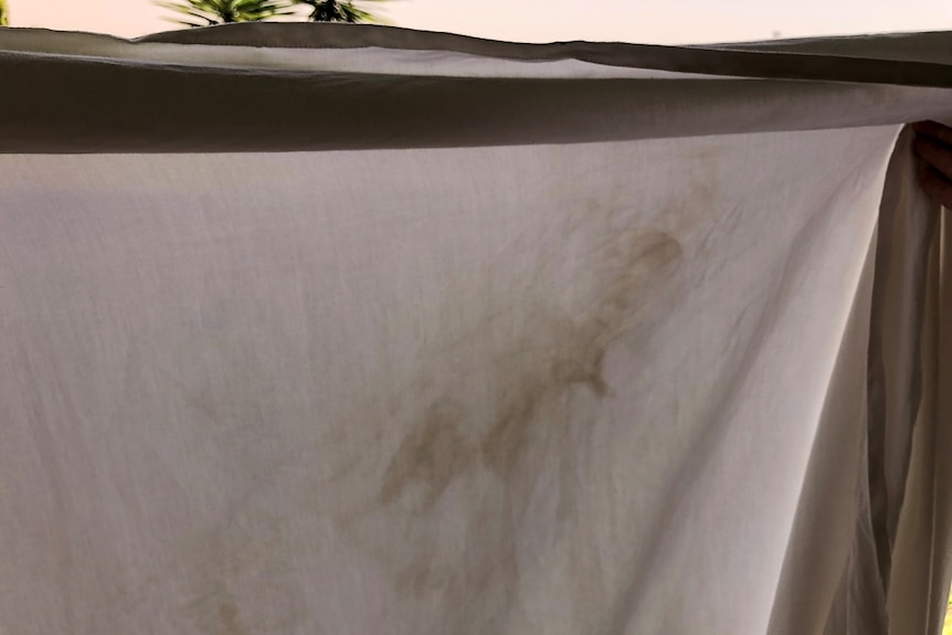 Sheets stained with brown markings hang on a clothes line