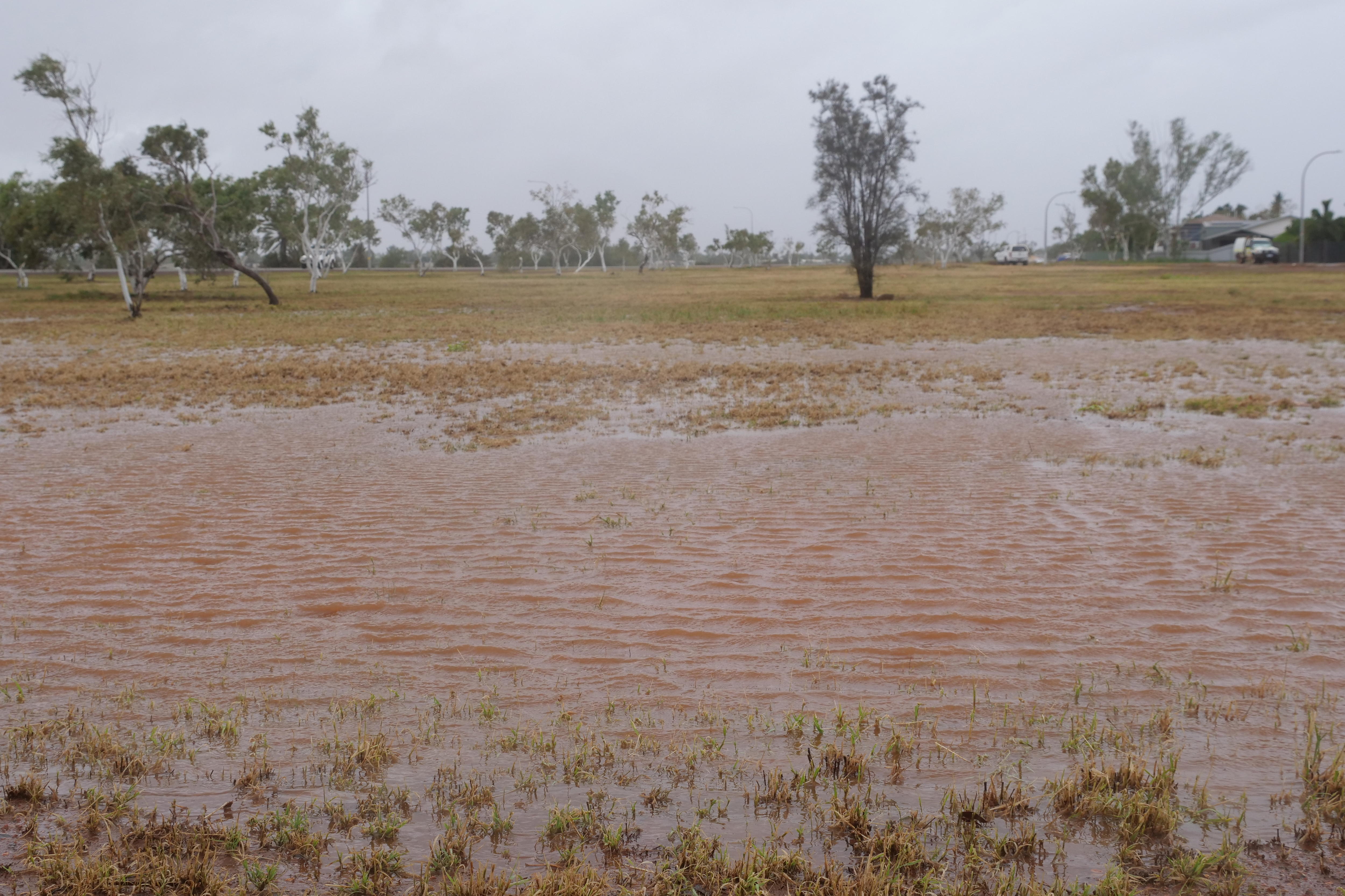 Un pedazo de tierra inundado de agua marrón con árboles al fondo.